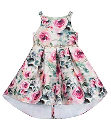 Toddler Girls Printed Mikado Sleeveless Pleated Skirt Dress