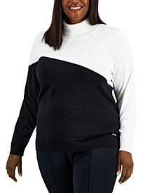 Plus Size Colorblocked Turtleneck Sweater