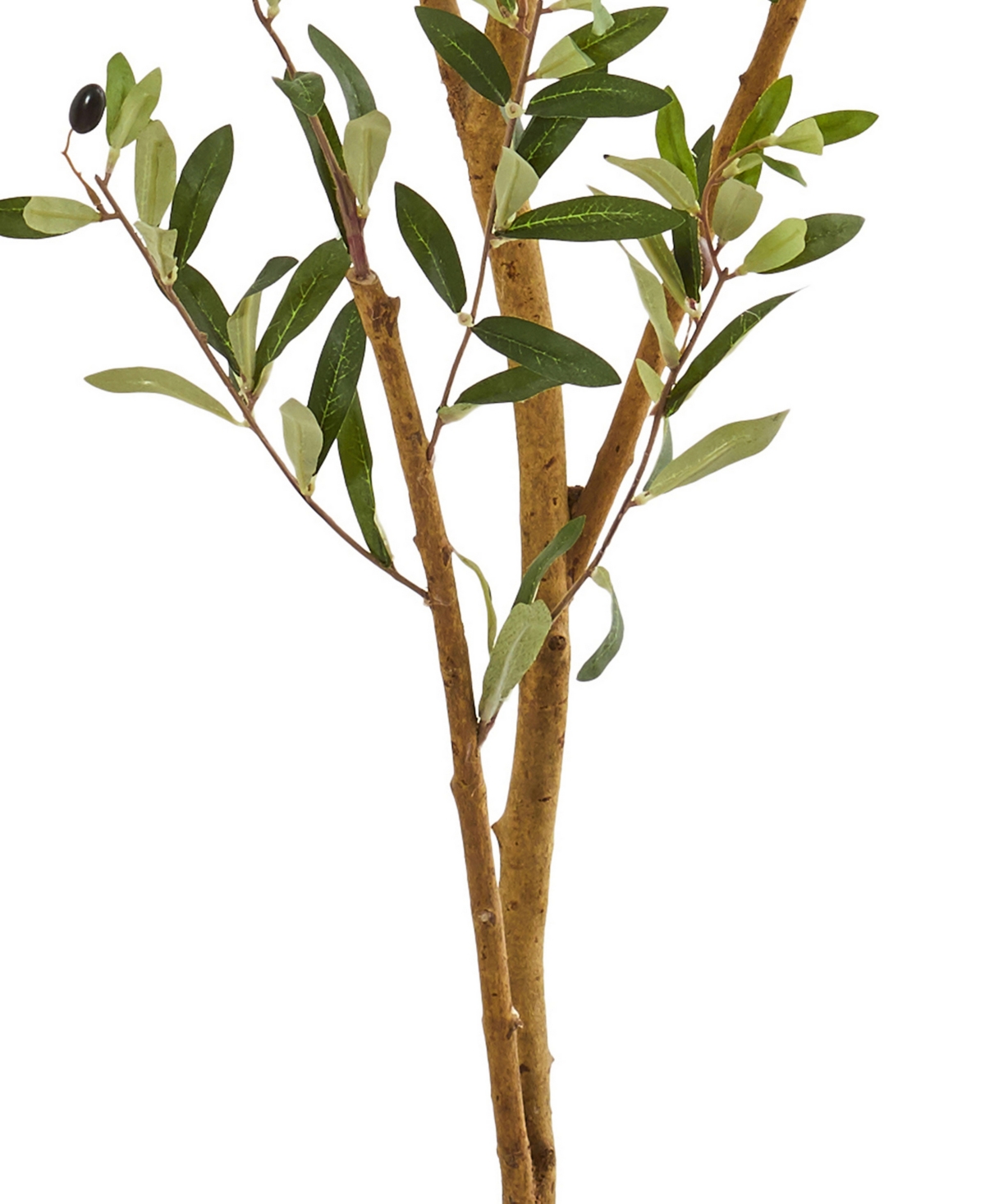 Shop Nearly Natural 82" Olive Artificial Tree In Green