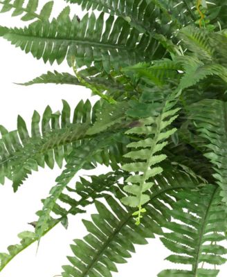 40" Boston Fern, Set of 2