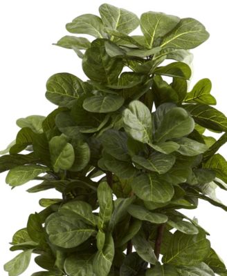 6' Fiddle Leaf Fig Tree