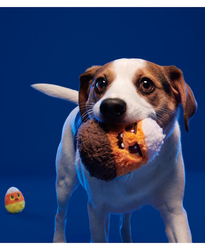 BarkBox 2Pk. Children of the Candy Corn Plush Dog Toys Macy's