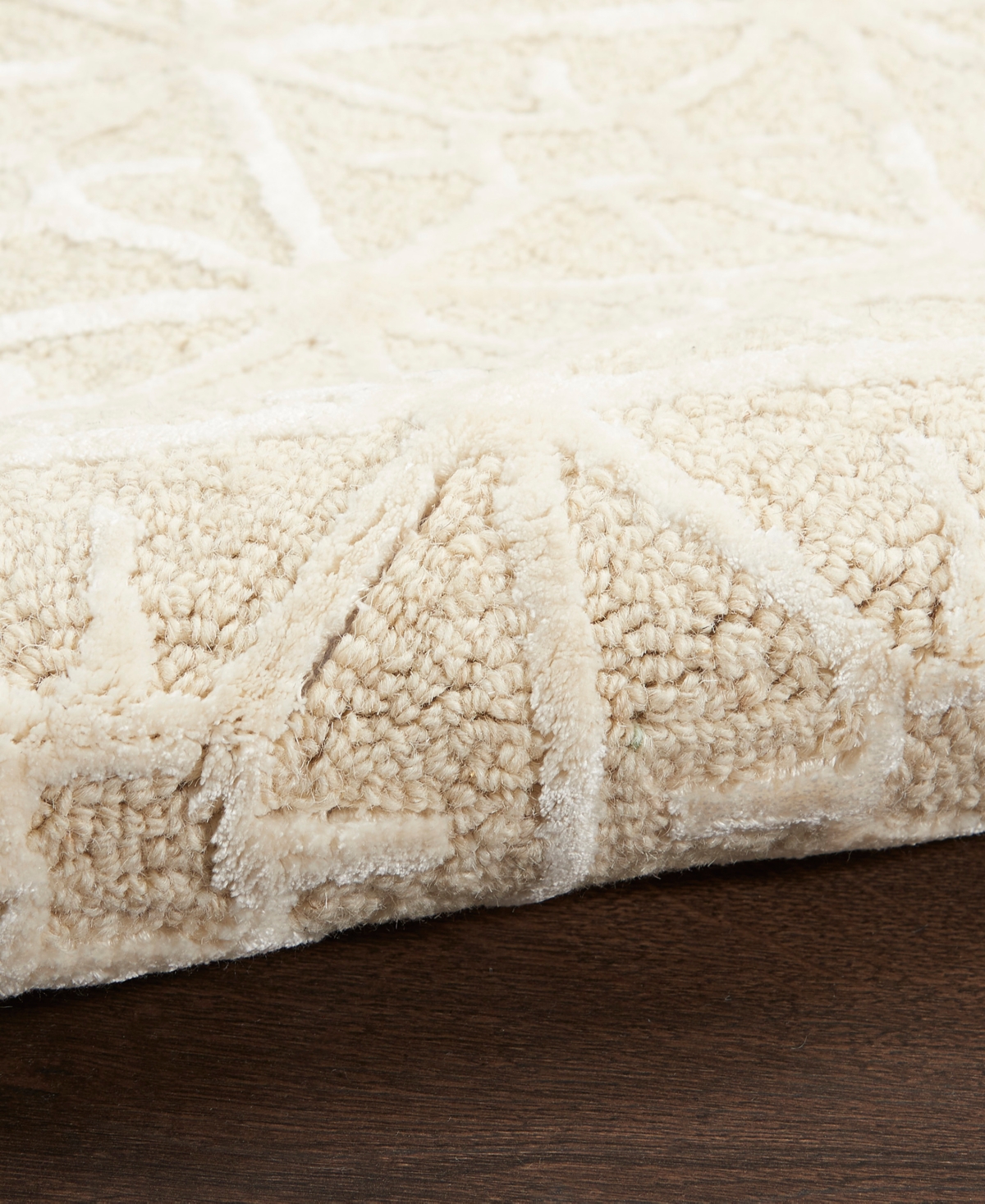 Nicole Curtis Series 2 SR201 Area Rug
