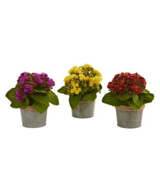 Kalanchoe Artificial Arrangements, Set of 3