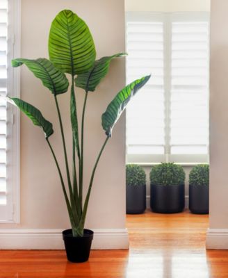 63" Travellers Palm UV-Resistant Indoor/Outdoor Tree 