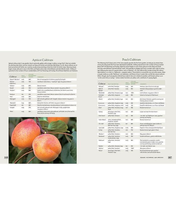 Barnes & Noble The Fruit Gardener's Bible A Complete Guide to Growing