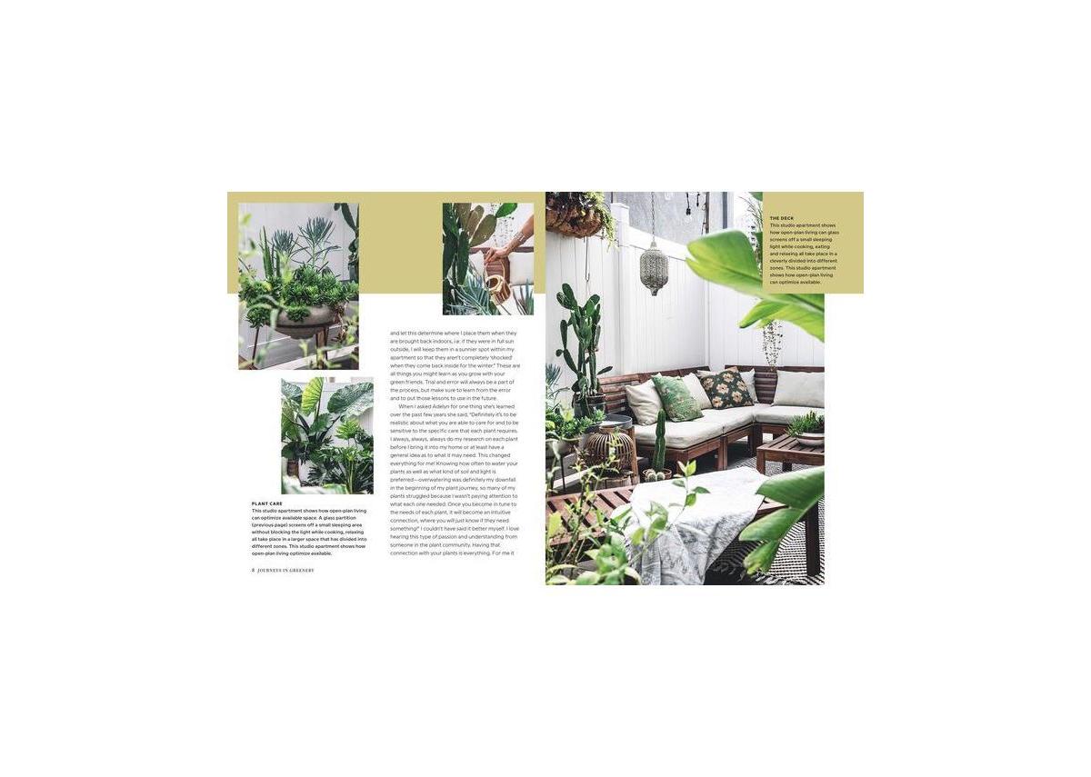 Wild Interiors - Beautiful Plants in Beautiful Spaces by Hilton Carter