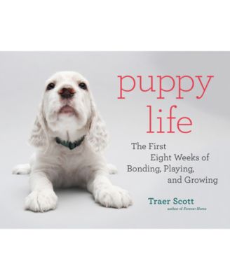 Galison - Puppy Life Illustrated Dog Development Book