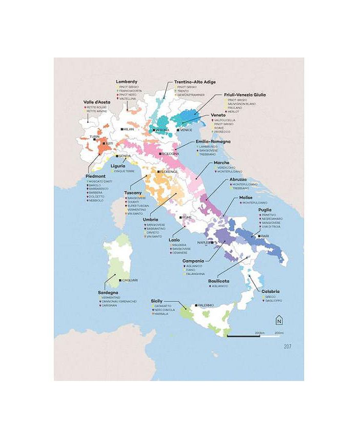 Barnes & Noble Wine Folly The Essential Guide to Wine by Madeline