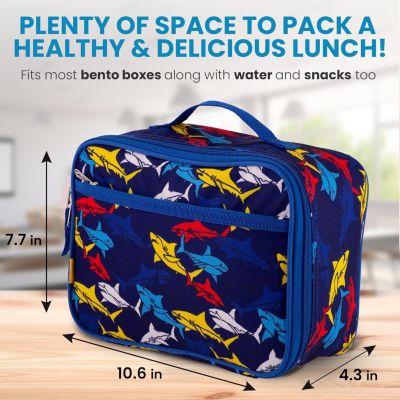 Insulated Lunch Bag With Spacious Compartment & Built-In Handle