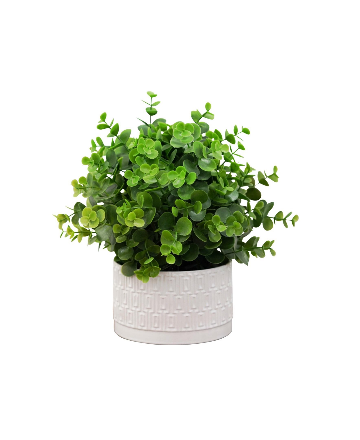 Desktop Artificial Eucalyptus in Decorative Ceramic Pot, 11" - White