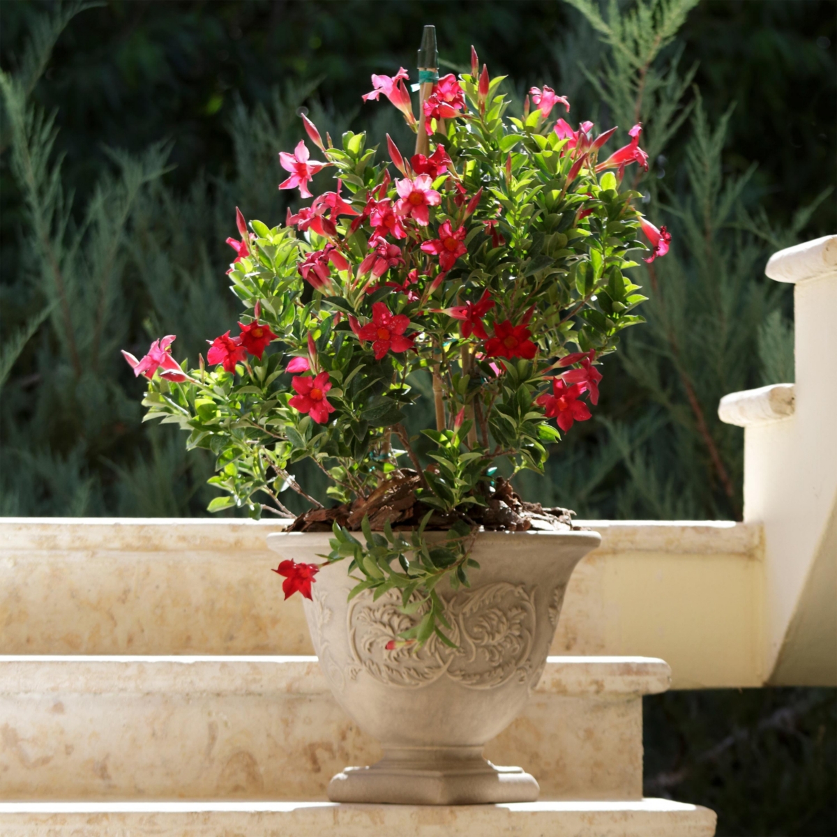 Indoor/Outdoor Patio, Garden, or Porch Weather-Resistant Double-Walled Darcy Flower Pot Planter - 16" - Beige