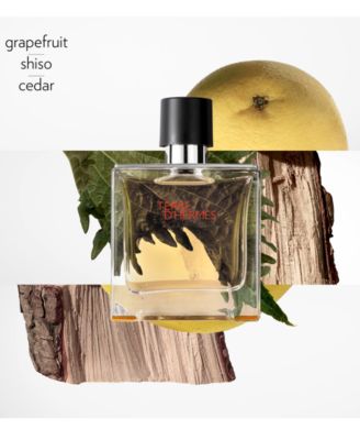 Terre d'Hermès Pure Perfume Spray, 2.5 oz.