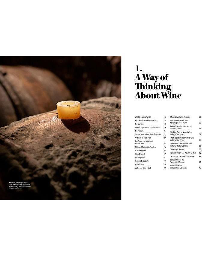 Barnes & Noble The World of Natural Wine What It Is, Who Makes It, and