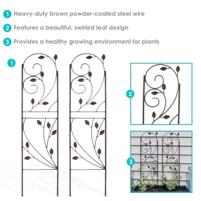 Metal Wire Rustic Plant Design Garden Trellis for Outdoor Climbing Flowers and Vines - 32" H - Brown - 2-Pack