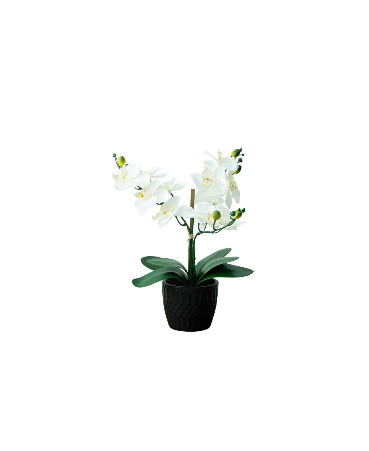 Desktop Artificial Orchid in Decorative Vase - Black