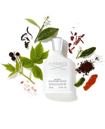 Creed silver mountain online water macy's