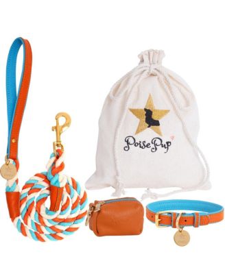 Pet Dog Collar - Vibrant Sunset