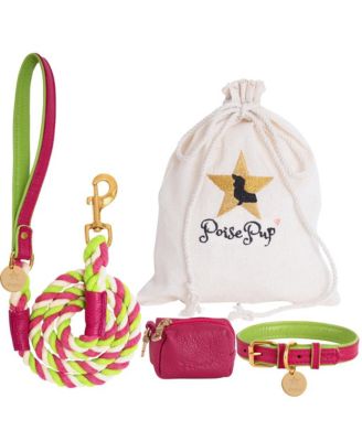 Pet Dog Collar - Candy Swirl