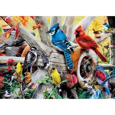 MasterPieces Audubon - Backyard Birds 1000 Piece Jigsaw Puzzle