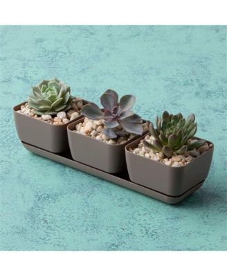 10013 Herb & Succulent Trio Planter/Flower Pot, Taupe, 12"