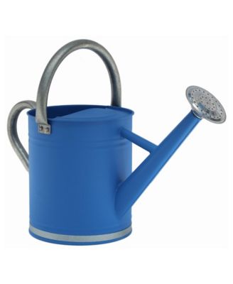Gardener Select Metal Watering Can, Blue Galvanized Accents, 0.92 Gal