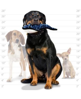 Ocean Creature Whale, Dog Toy