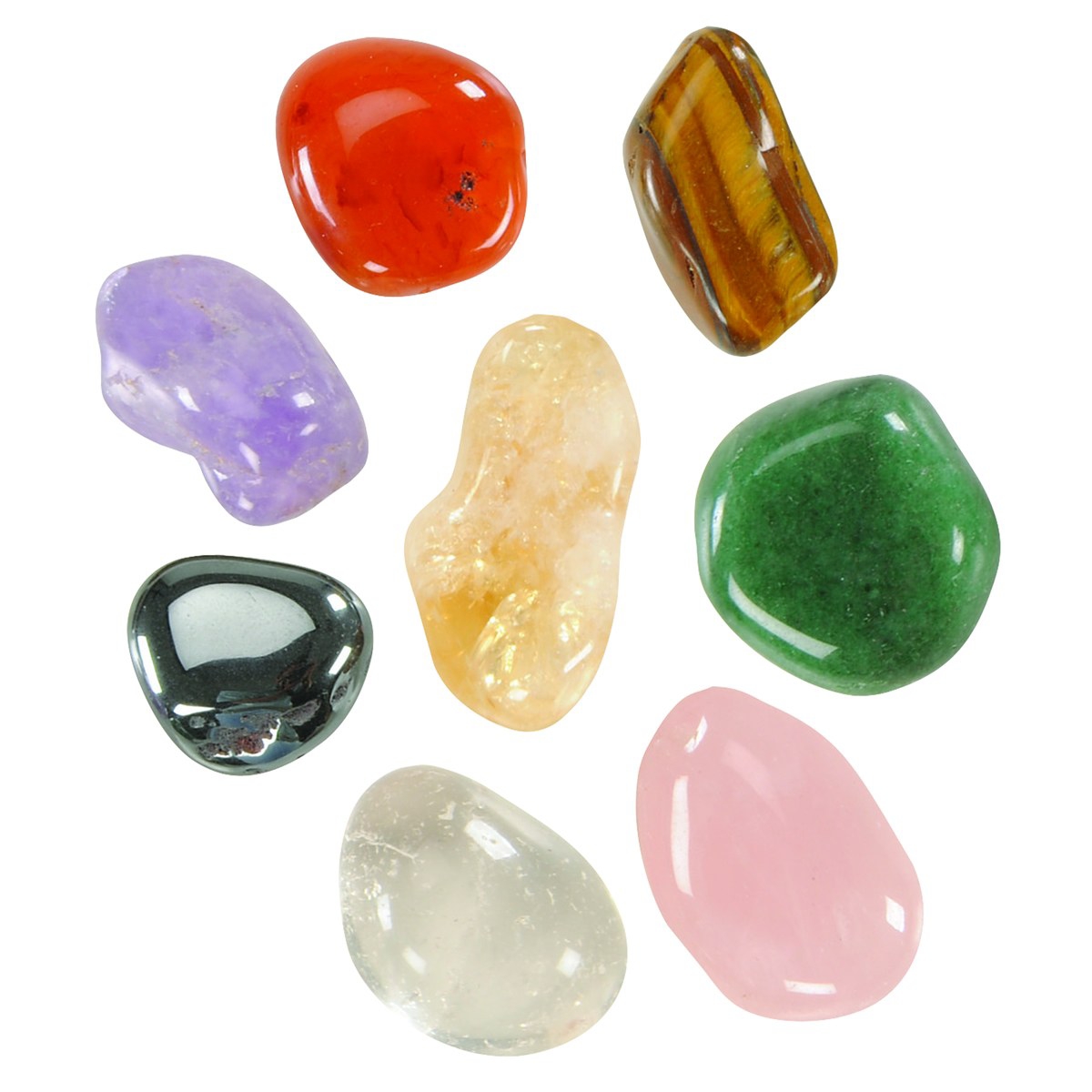 Kaplan Early Learning Company Let's See Nature Collection with Fossils, Rocks, Mineral and More