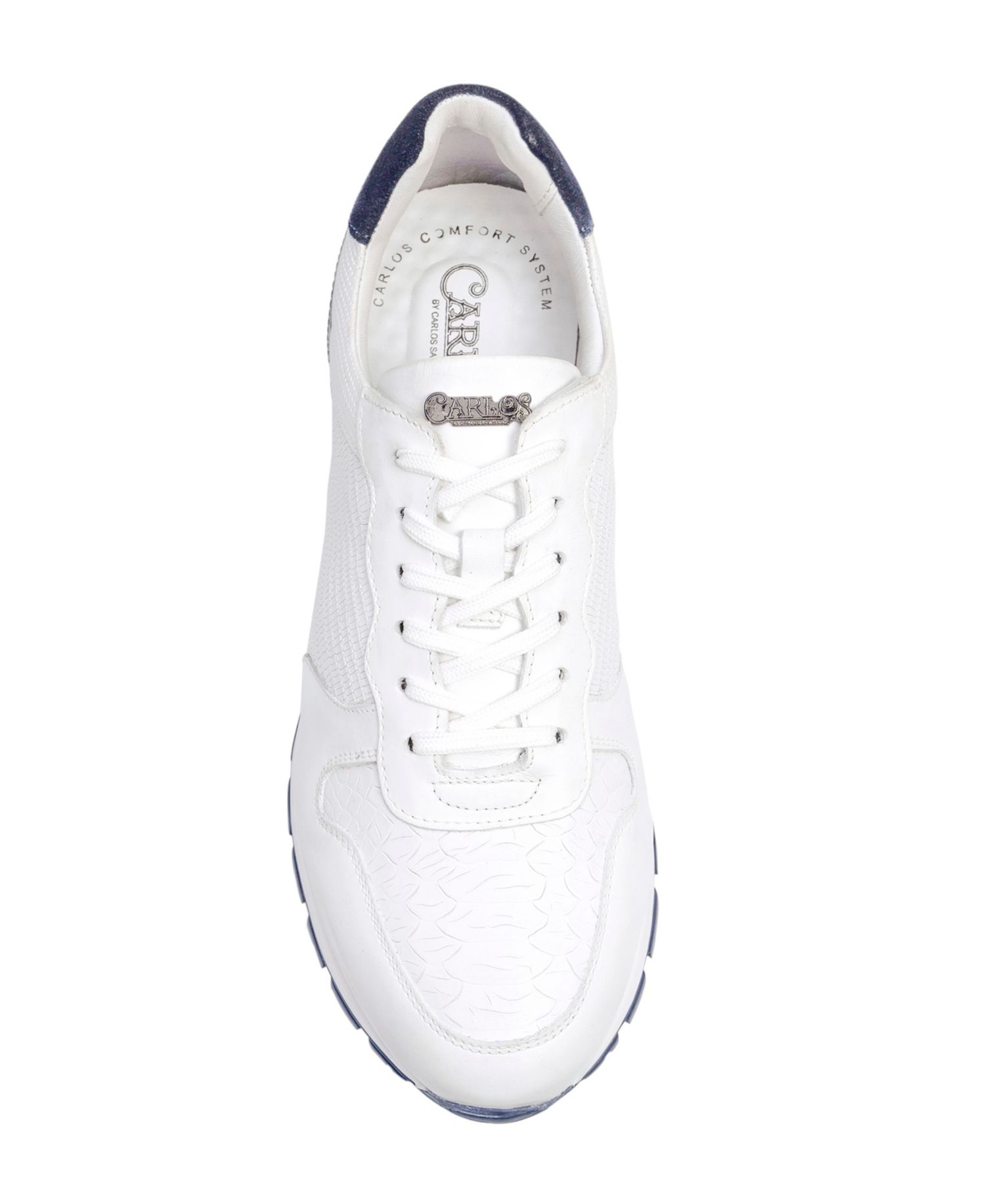Men's Hazel Reptile Fashion Sneakers