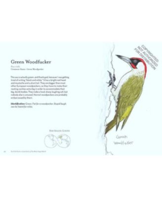 The Field Guide to Dumb Birds of the Whole Stupid World by Matt Kracht