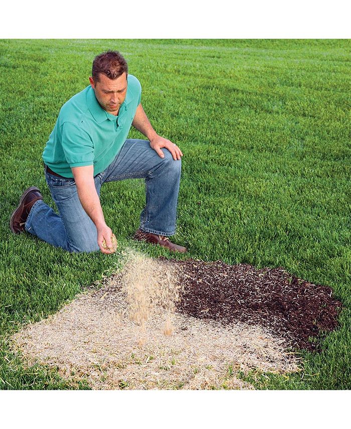 EZStraw Seeding Mulch With Tack 11 lb Macy's