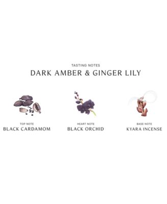 Dark Amber & Ginger Lily Cologne Intense, 1.7 oz.