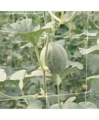 48" x 328' Hortonova Plant Trellis Net