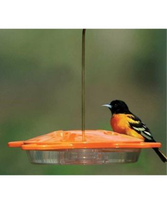 Oriole Nectar Feeder, 4 Ports, 16 oz