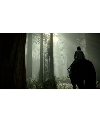 COMPUTER ENTERTAINMENT Shadow of the Colossus - PS4