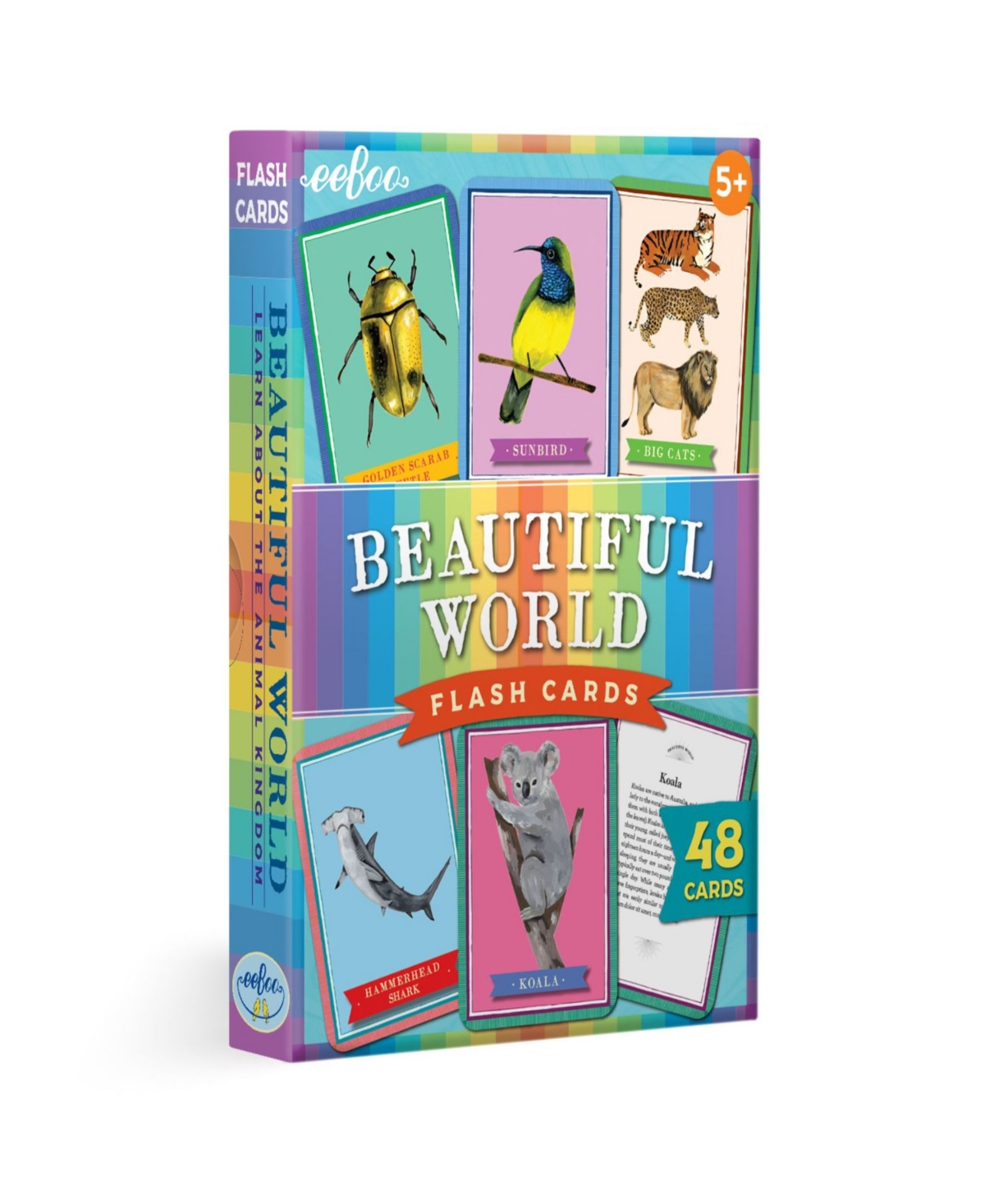 Eeboo Kids' Beautiful World Educational Flash Cards 48 Piece Set In Multi