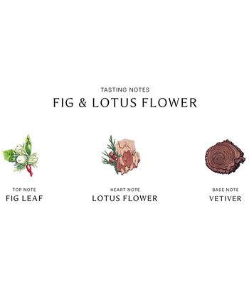 Jo Malone London - Fig & Lotus Flower Cologne, 3.4-oz.
