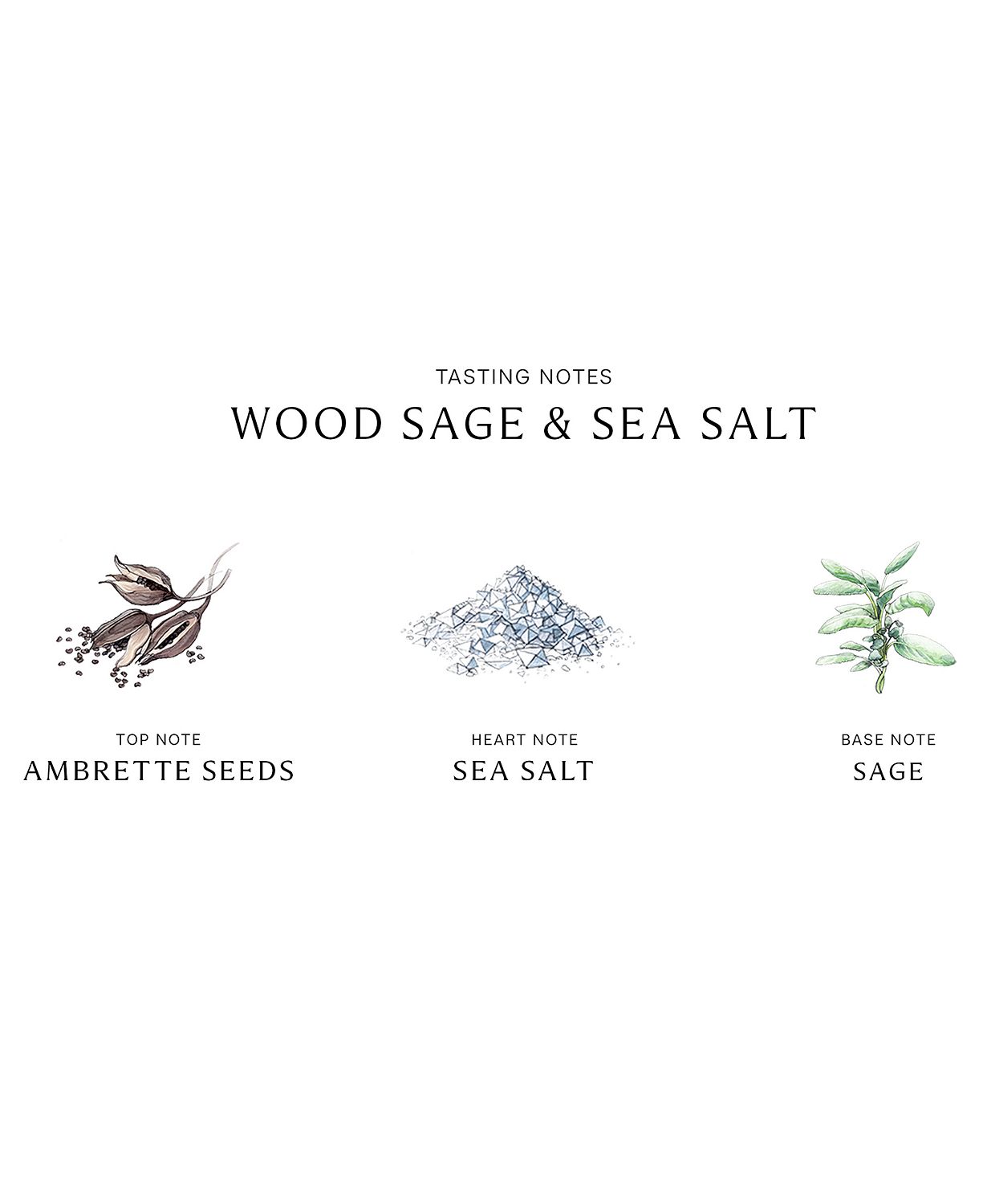 Wood Sage & Sea Salt Cologne, 0.3 oz.