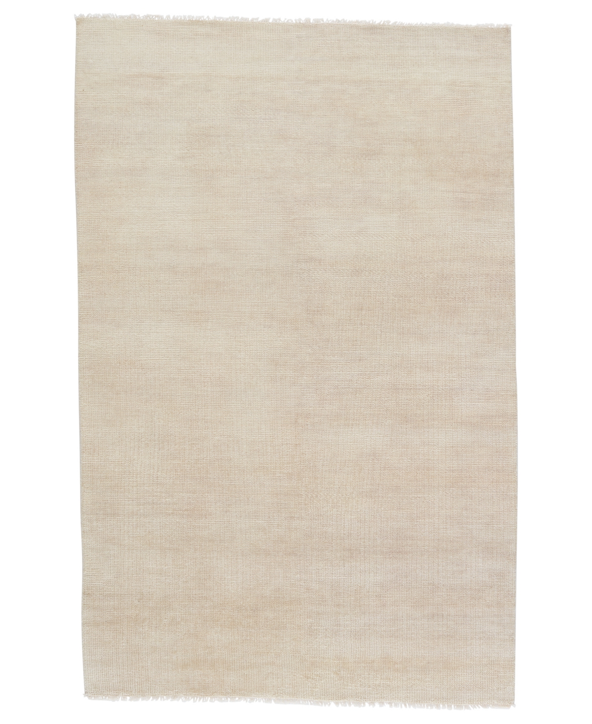Jaipur Living Saga SAG14 6' x 9' Area Rug - White