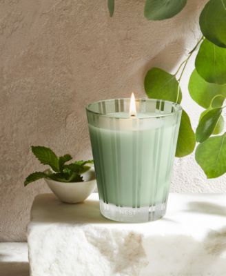 Wild Mint & Eucalyptus Classic Candle, 8.1 oz.
