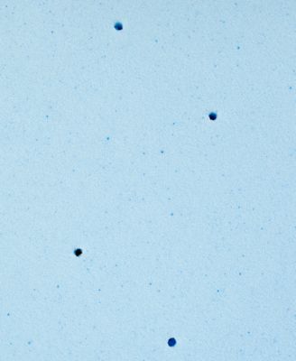 CLOSEOUT! Gel-Infused 2" Memory Foam Mattress Topper, King