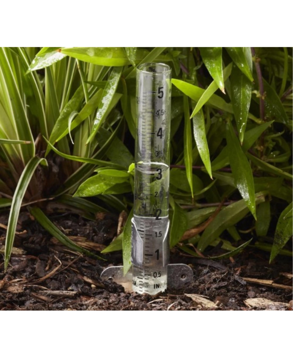 Taylor Precision Products Glass Tube Rain Gauge,