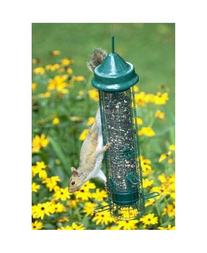 Brome 1015 Squirrel Buster Classic Tube Bird Feeder, Green Macy's