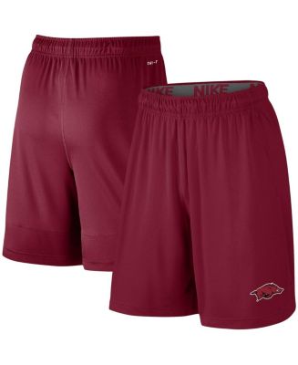 Nike Men's Cardinal Arkansas Razorbacks College Primary Logo 2.0 Fly ...