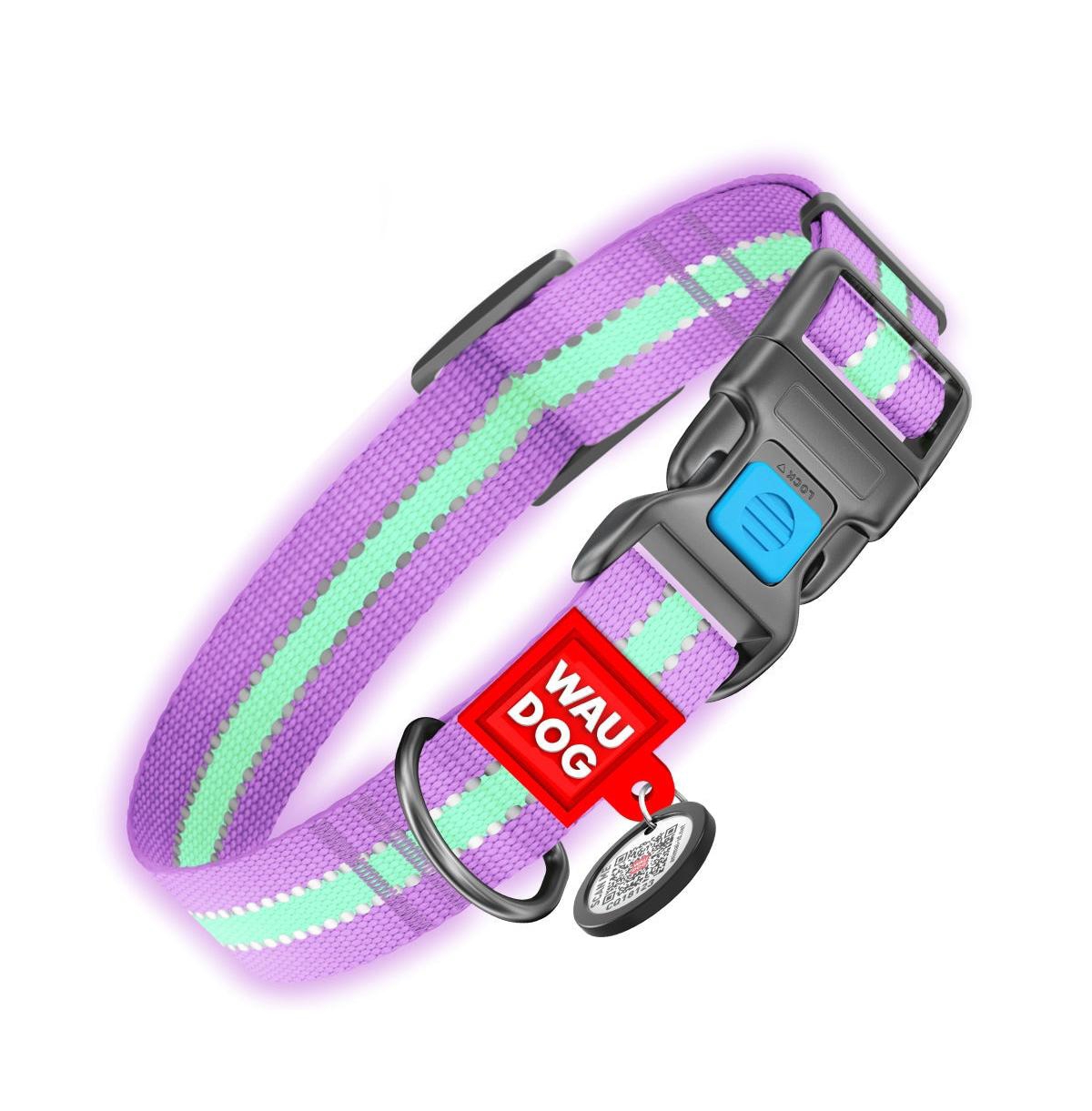 Nylon dog collar with Qr passport, glow in the dark/reflective, metal fastex from
