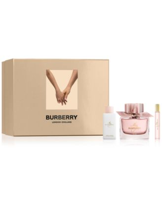 Fashion burberry blush set