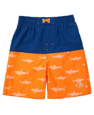 Toddler Boys Swim Trunks with Mesh Liner UPF 50+