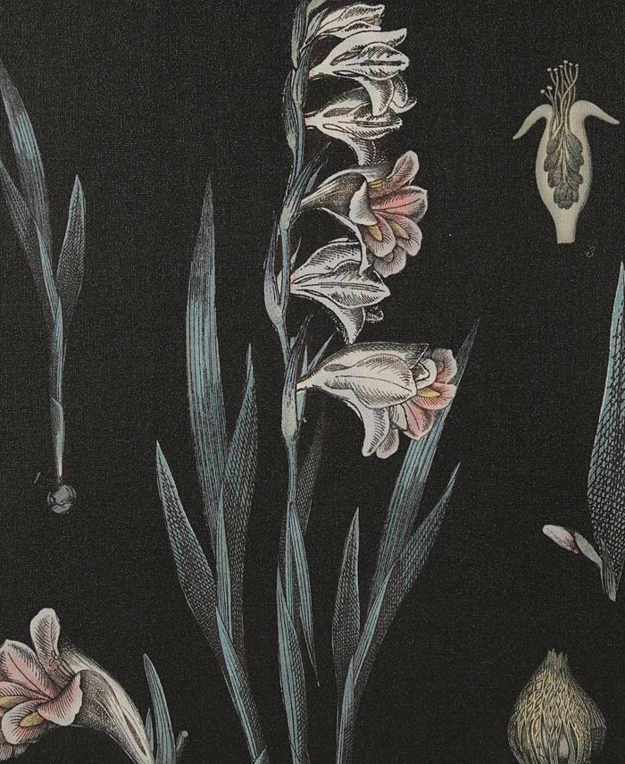 Martha Stewart Collection Eventide Flourish Botanical Contrast Framed