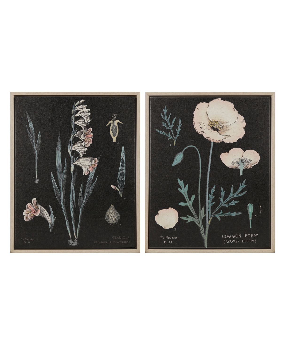 Martha Stewart Collection Eventide Flourish Botanical Contrast Framed Linen Canvas 2 Piece Set In Black Multi