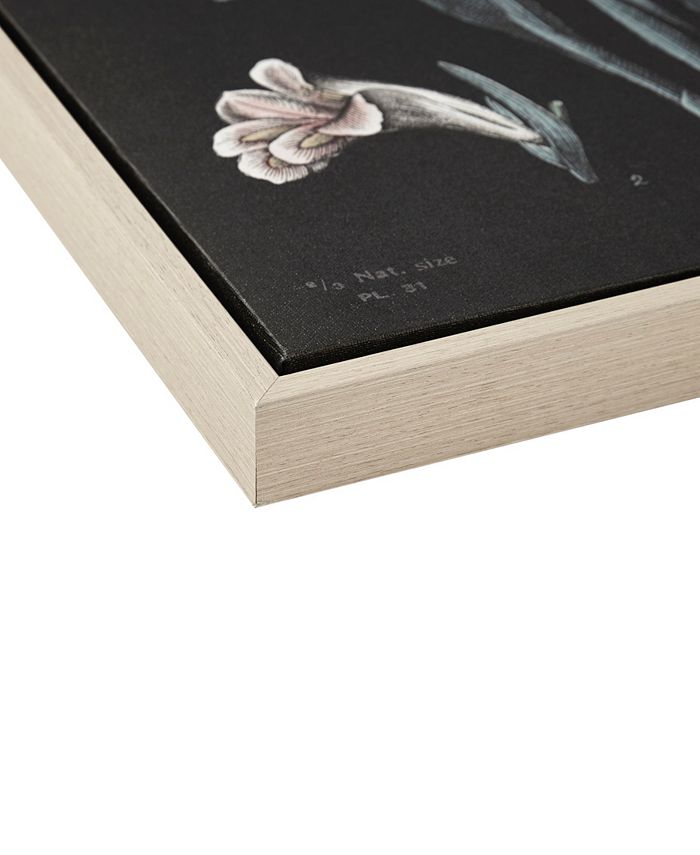 Martha Stewart Collection Eventide Flourish Botanical Contrast Framed